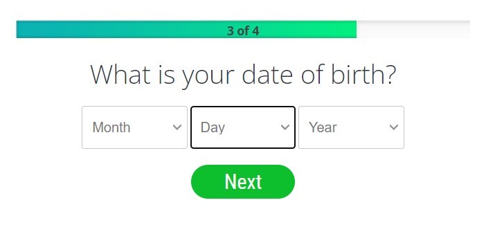 SurveyJunkie step 3